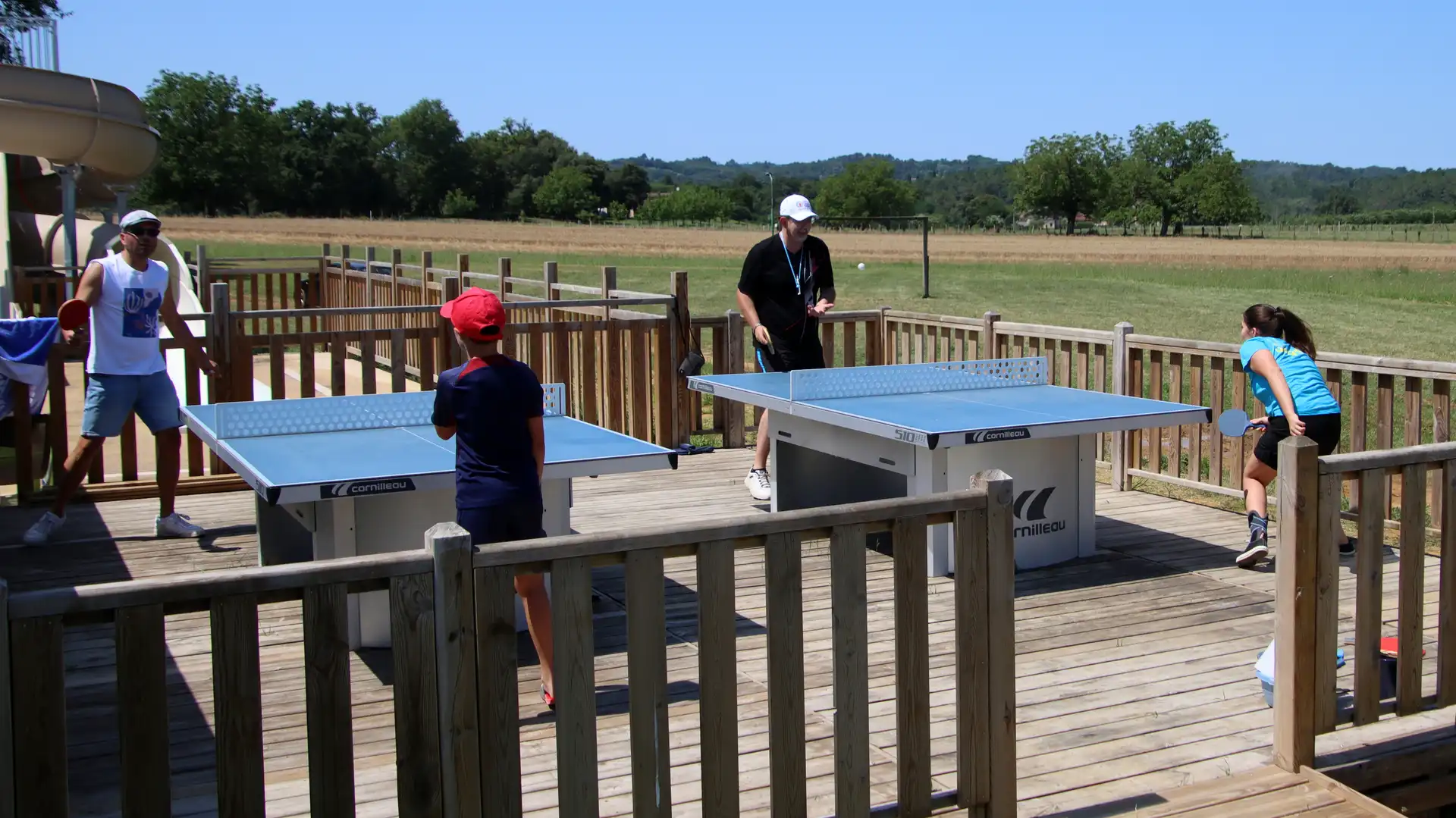 tennis de table